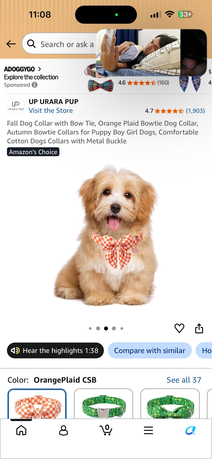 Orange-and-white plaid dog collar with decorative bow tie.